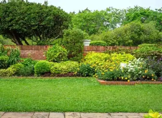 landscaping services Poplar Hills